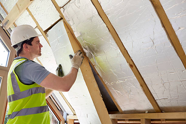 Best Insulation Maintenance and Repair in Mcmechen, WV